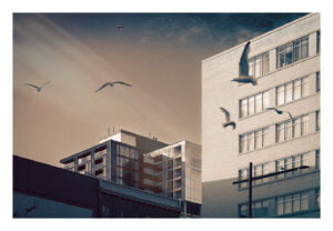 Un paysage urbain au crépuscule, avec des bâtiments modernes et anciens sous un ciel dramatique. Plusieurs oiseaux volent au premier plan, ajoutant du mouvement à la scène. L'angle de la lumière du soleil projette des ombres, mettant en valeur les détails architecturaux.