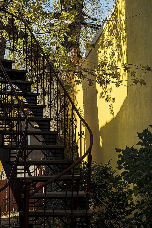 Un escalier métallique en colimaçon aux rampes complexes est placé contre un mur d'immeuble jaune vif. La lumière du soleil filtre à travers les feuilles d'un arbre voisin, projetant des ombres sur le mur. Un feuillage vert luxuriant entoure la base de l'escalier.