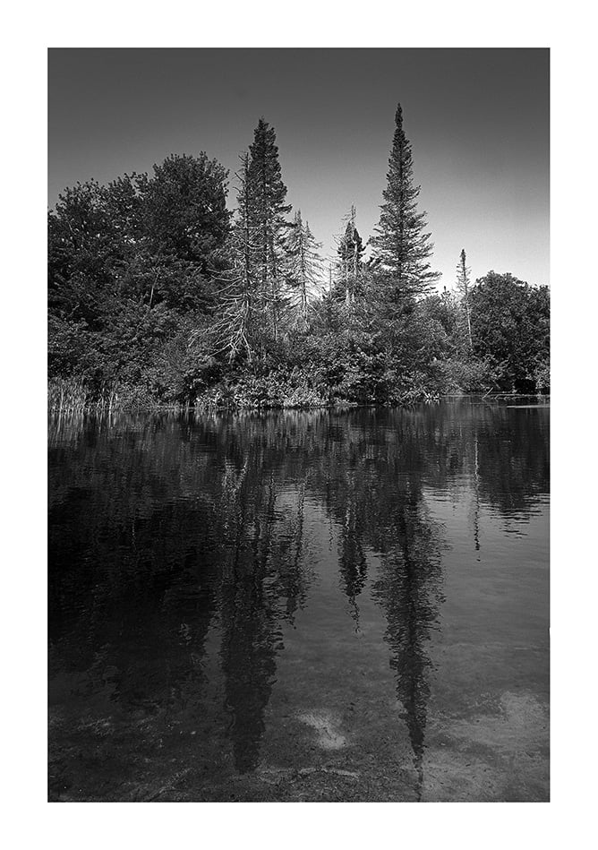 Une photo en noir et blanc montre de grands arbres se reflétant dans un lac calme et clair. Le rivage est dense avec divers arbres et buissons, créant une atmosphère tranquille et immobile. La surface réfléchissante de l'eau reflète parfaitement les arbres.