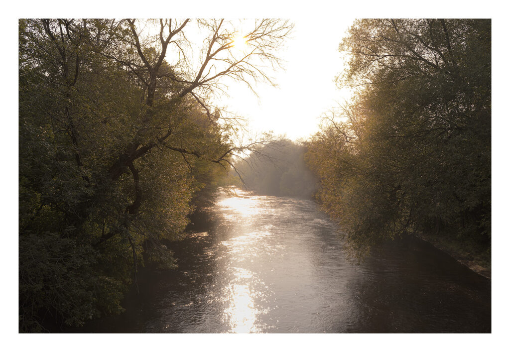 Une rivière avec des arbres autour.